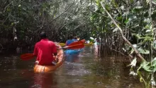 Mangrove Kayaking Adventure & Belize City Highlights shore excursion in Belize City, Belize