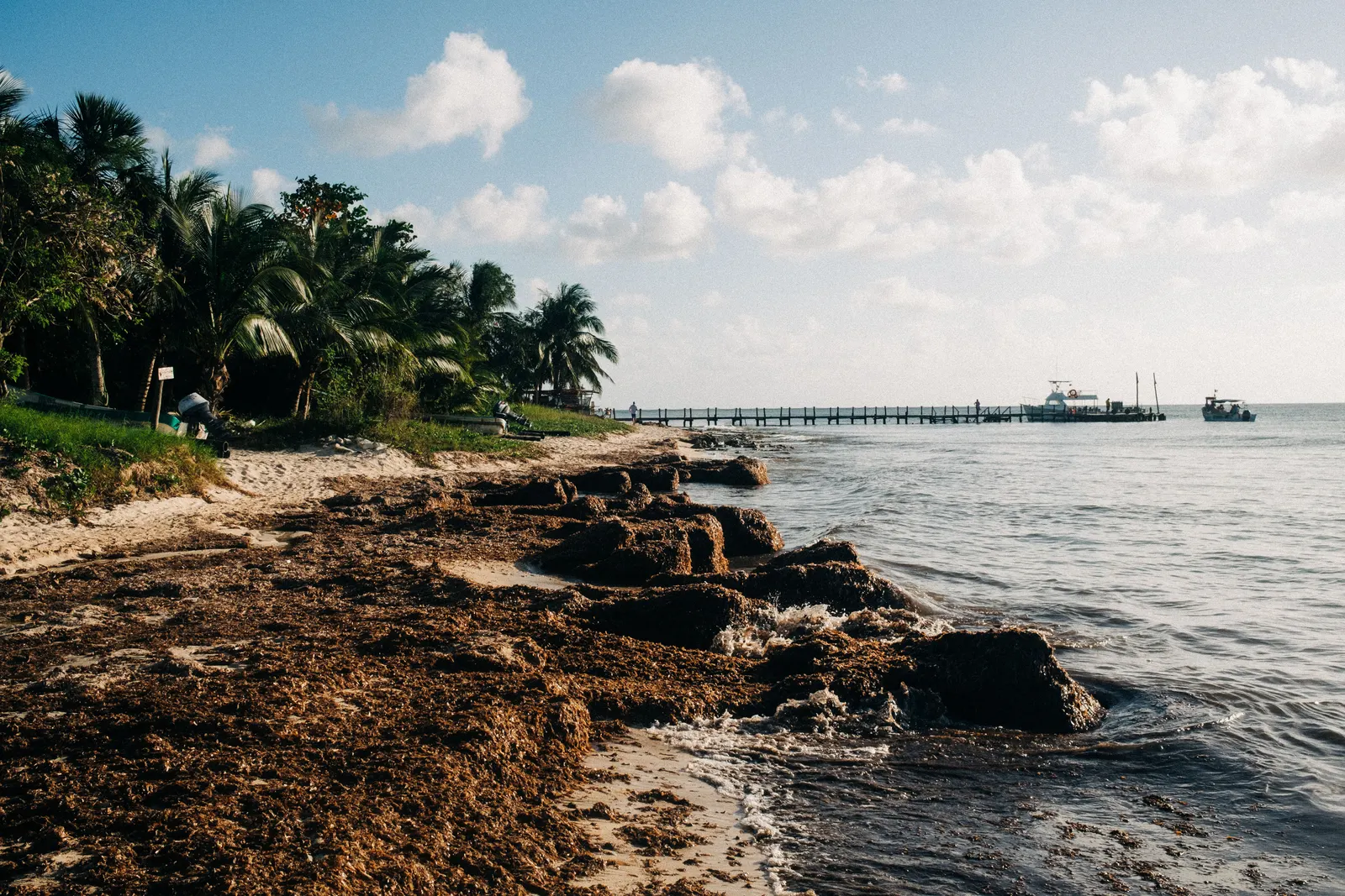 Scenic view of a beach in San Miguel de Cozumel, showcasing palm trees, a pier, and a tranquil sea.