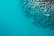 Bimini